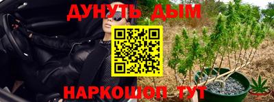прущие грибы Кунгур