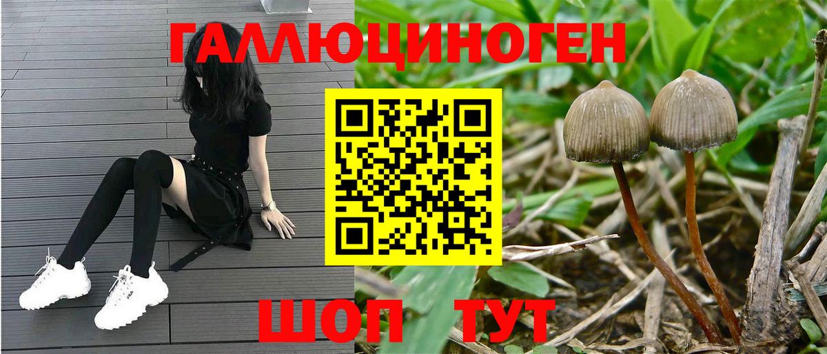 Галлюциногенные грибы мухоморы Губаха