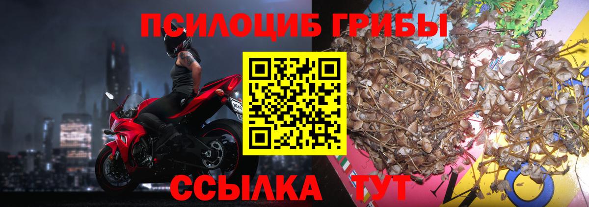 Галлюциногенные грибы ЛСД  Вход с VPN  Губаха  Галлюциногенные грибы мицелий 